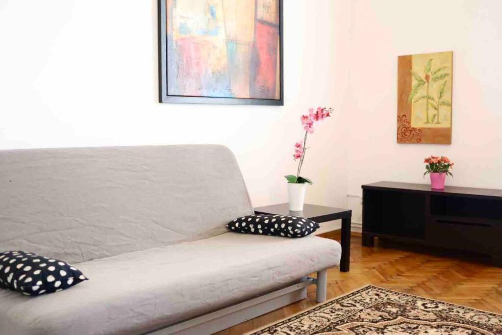 Soltyka 5 Rooms Apartment Krasków Exteriör bild
