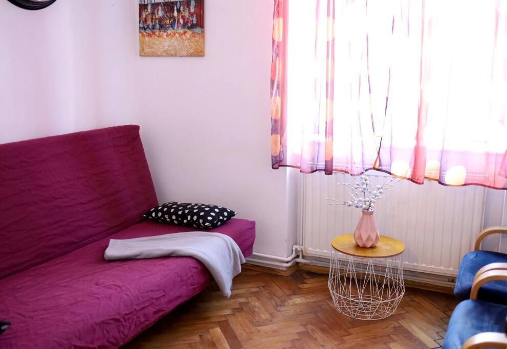 Soltyka 5 Rooms Apartment Krasków Exteriör bild
